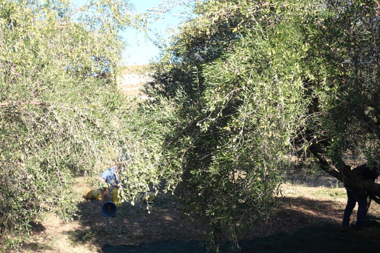 La Locanda Dei Fiori Bompensiere Esterno foto